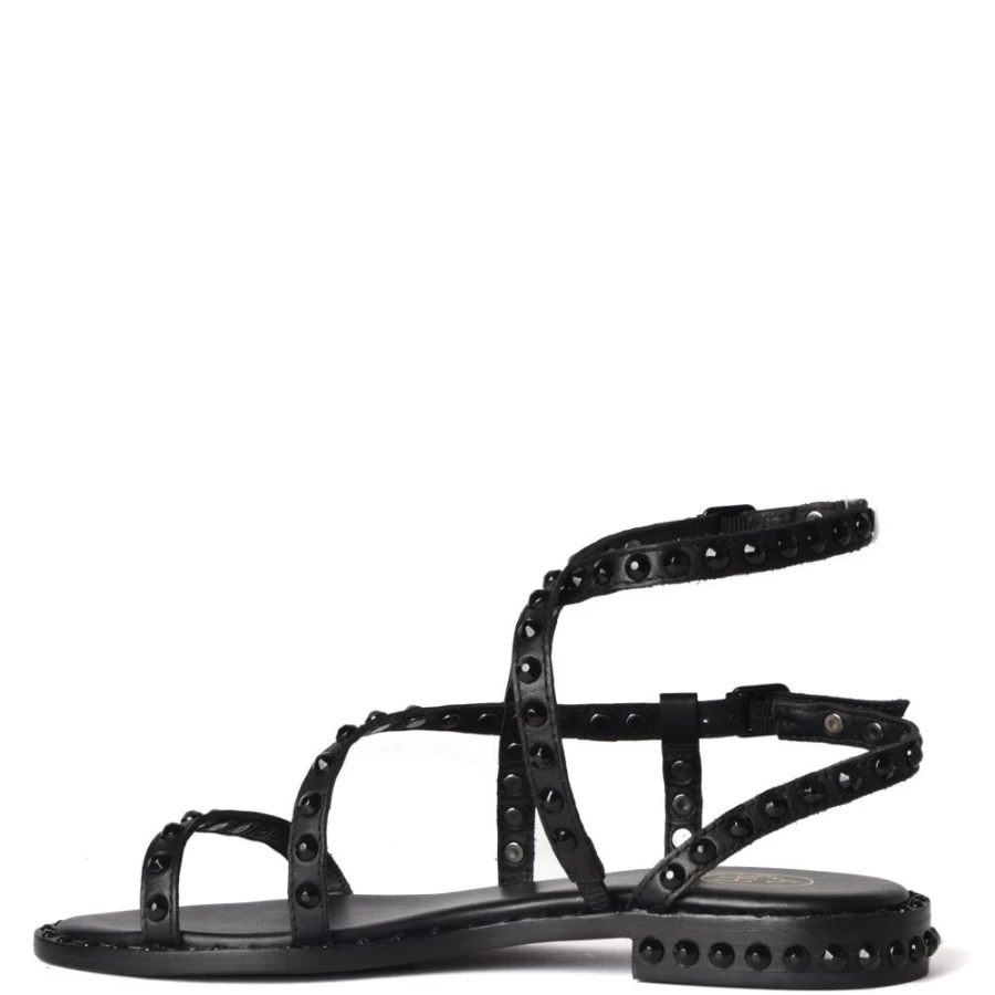ASH Women's Petra Bis Sandal in Black with Studded Detail