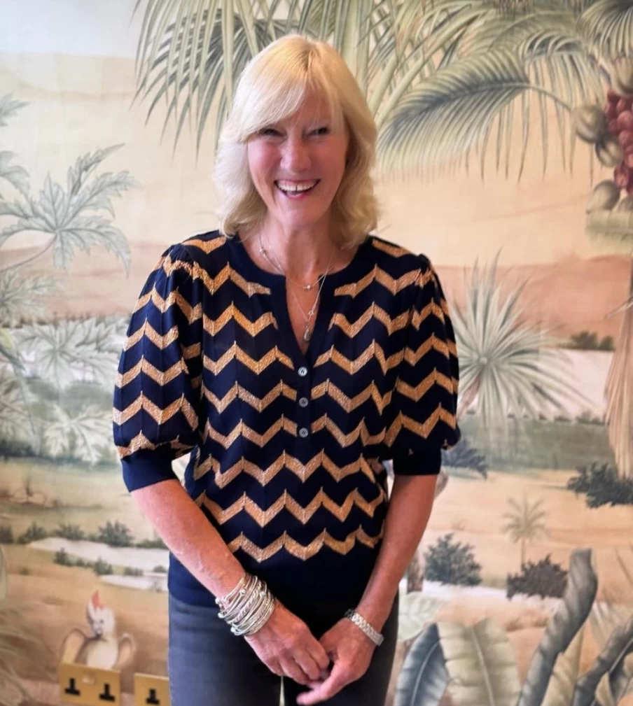 Tabitha Webb Women's Navy & Gold Chevron V-Neck Blouse