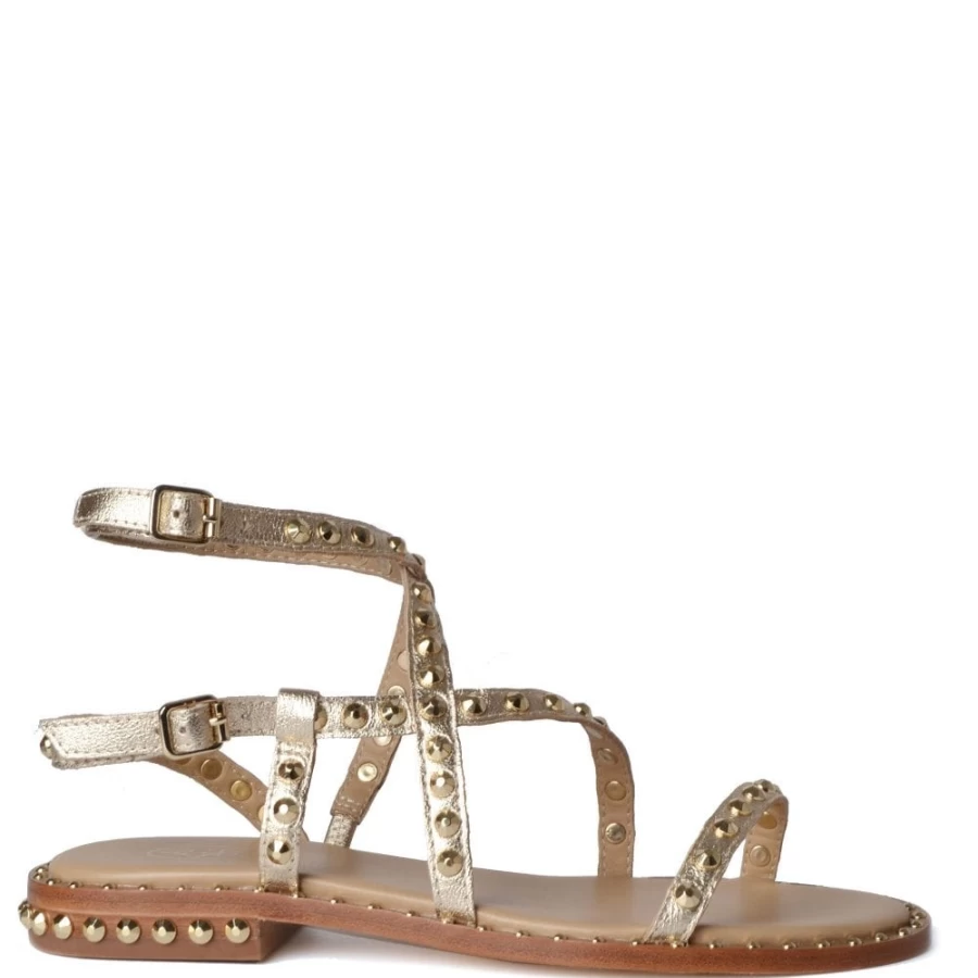 ASH Women's Petra Sandal in Light Gold | Fashionable Comfort Footwear